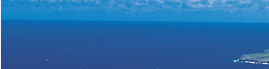 www.traveljungle.co.uk